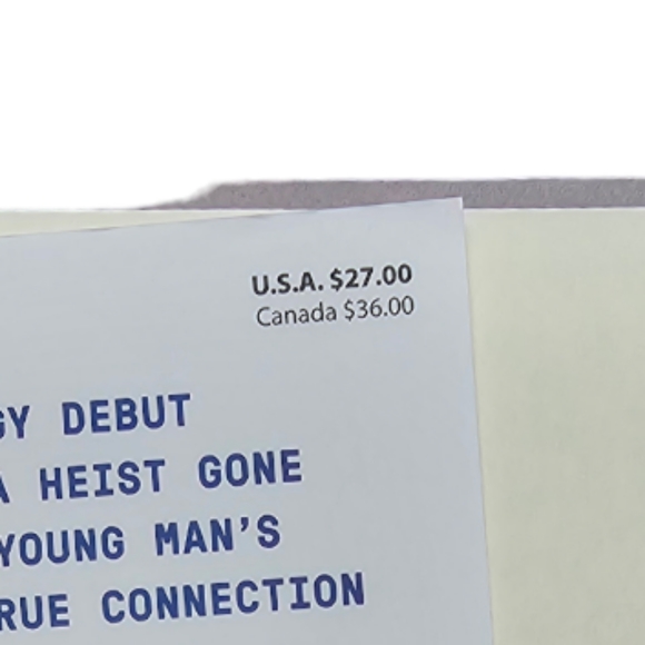 New! "New Waves" a Novel by Kevin Nguyen - Picture 5 of 5